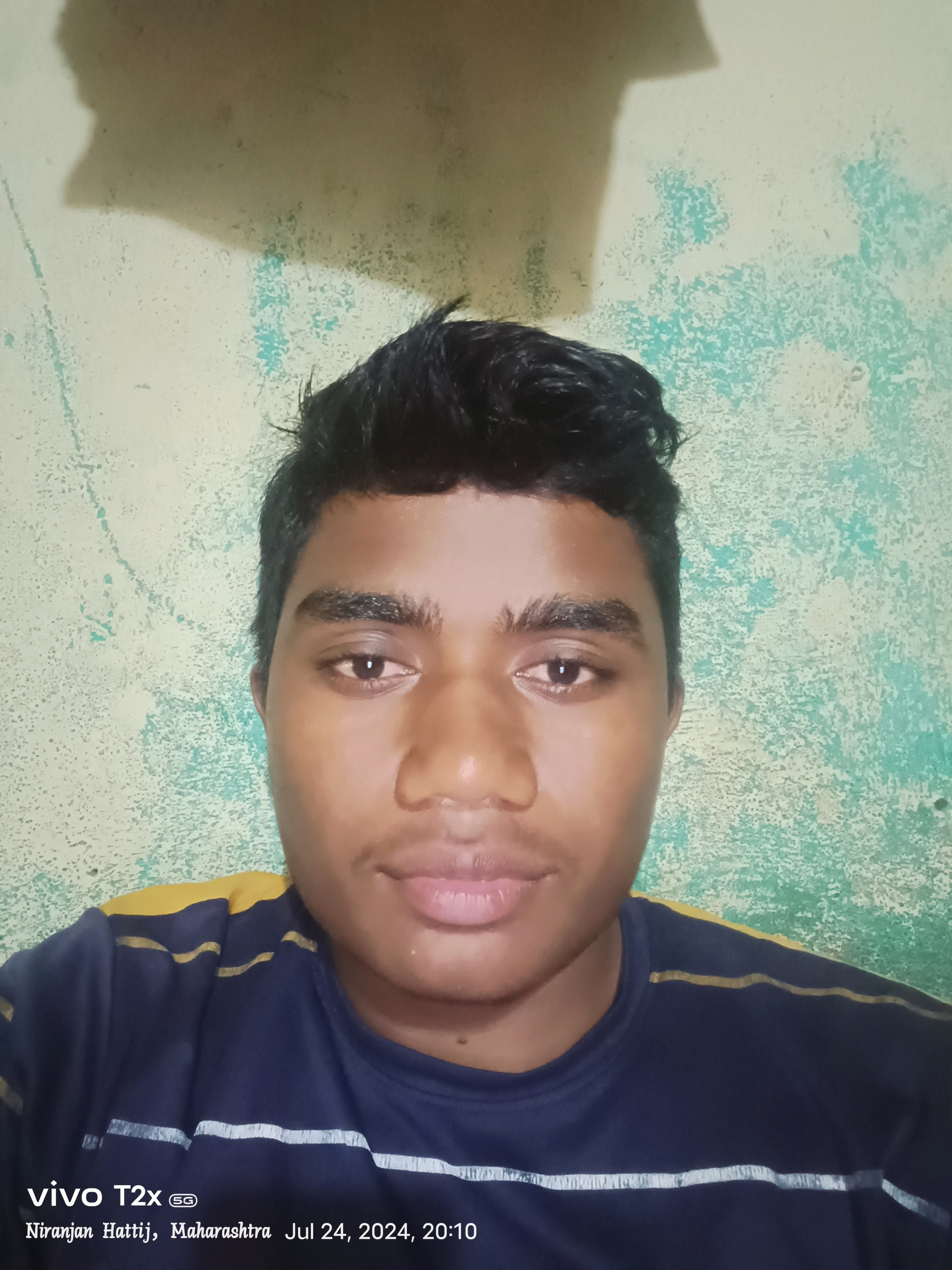 Niranjan Lendhe Profile Picture