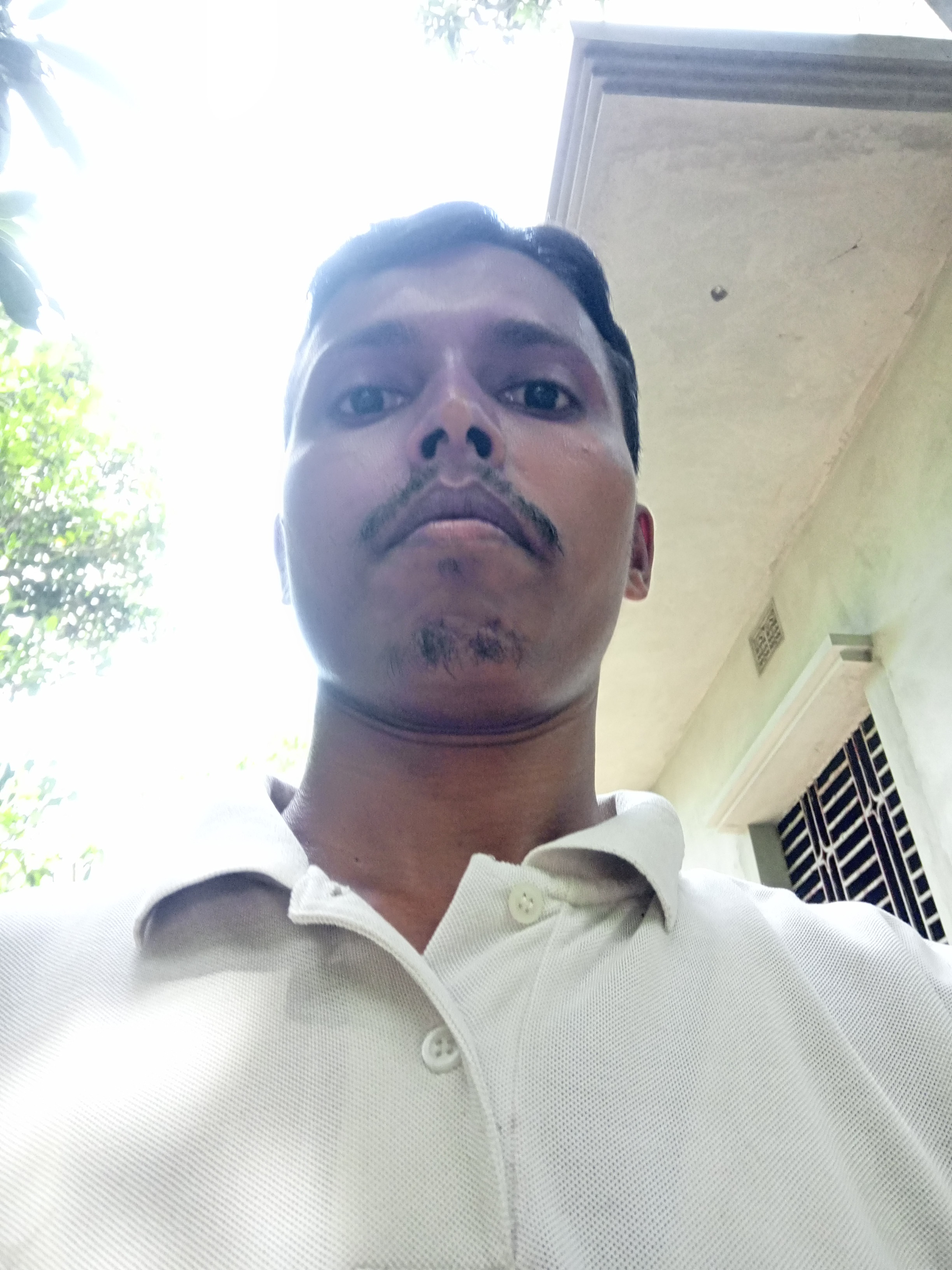 Md kausar Hossin Profile Picture