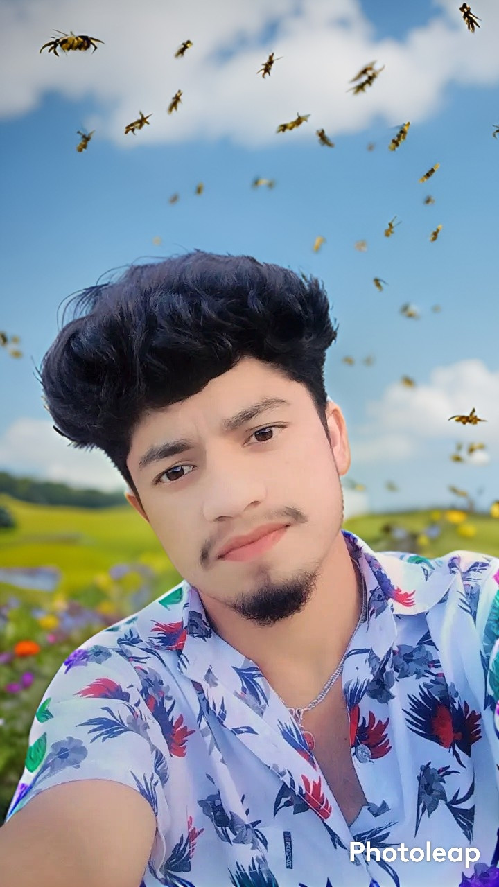 Rupesh Bibash Profile Picture