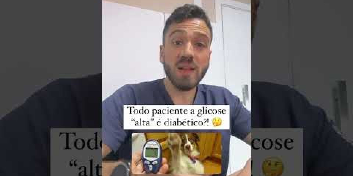 Meu Cão Está Apático: Entenda a Possibilidade de Erliquiose e Como Agir Imediatamente